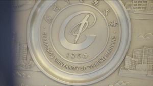 Close-up of a university crest on a medal