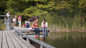 People relaxing on a wooden dock by the water